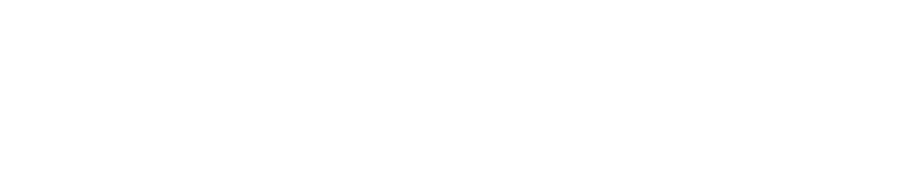 Network Asia Advisory